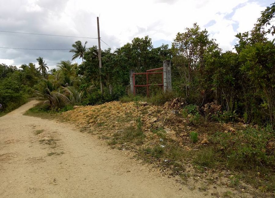 place photo 2