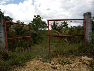 32,780sqm clean title lot in San Roque Cortes Bohol 500 per sqm near gallares hospital