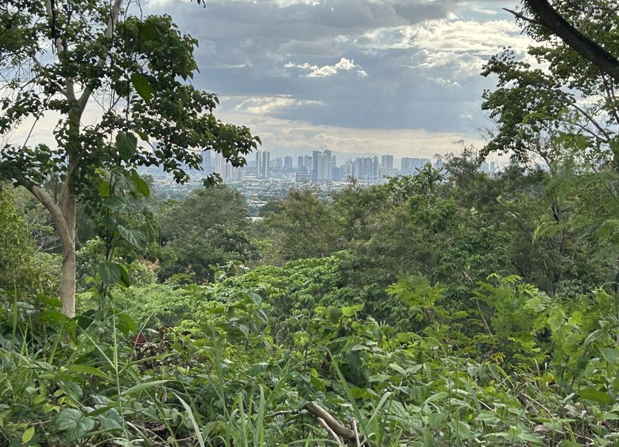 San Roque, Antipolo, Rizal image 2