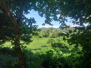 Lot for Sale at Ragay Camarines Sur ideal for farming and retirement place
