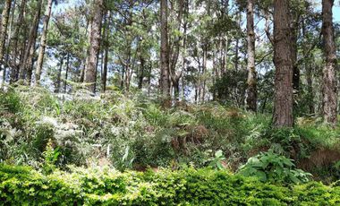 For Sale: Residential Vacant Lot with 1,269 sqm. at Pinsao Proper, Baguio City, Benguet