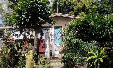 Foreclosed Property - 130 sqm House & Lot in La Paz Homes, Trece Martires City