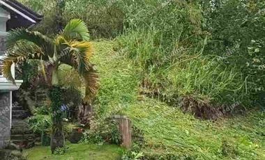 Residential Lot for sale inside Tagaytay Montevista Subdivision in Tagaytay City Cavite