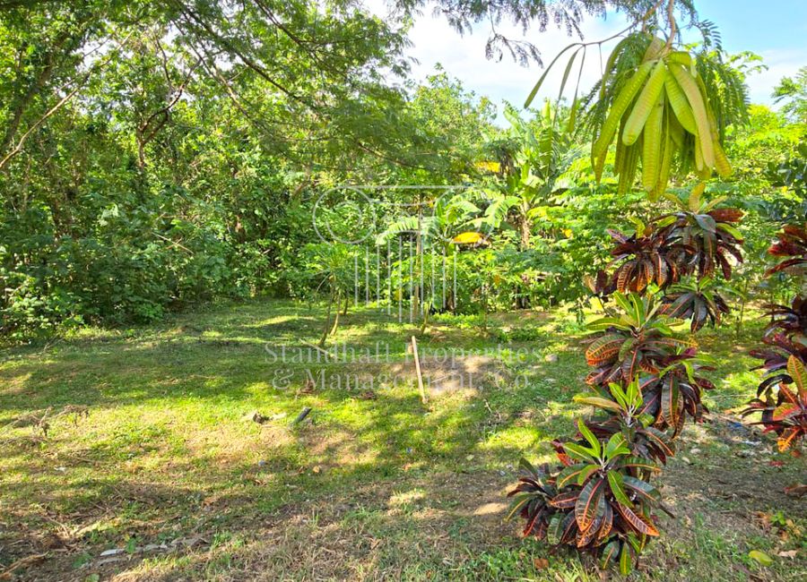 Spine Road, Ayala Greenfield Estates, Maunong, Calamba, Laguna image 2