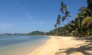 Commercial Beach Resort For Sale in Busuanga, Palawan - 31,000 sqm
