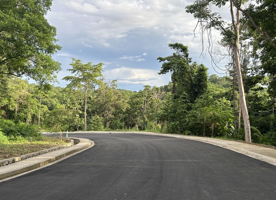 San Roque, Antipolo, Rizal image 2