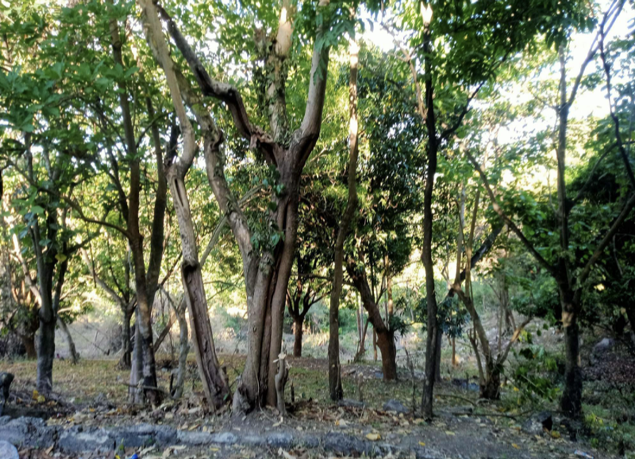 Antipolo, Rizal