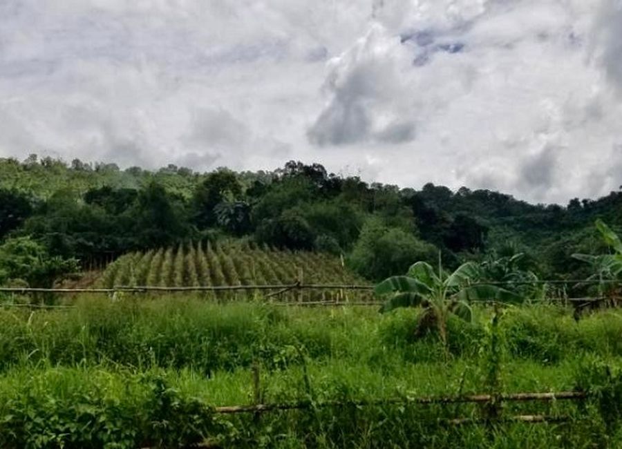 Lukutan Malaki, Montalban, Rizal