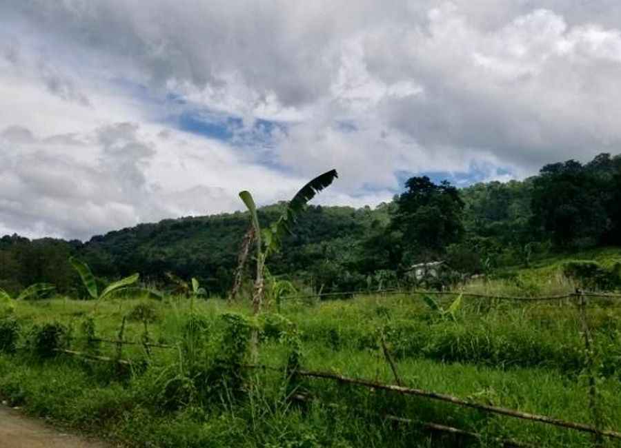 Lukutan Malaki, Montalban, Rizal image 2