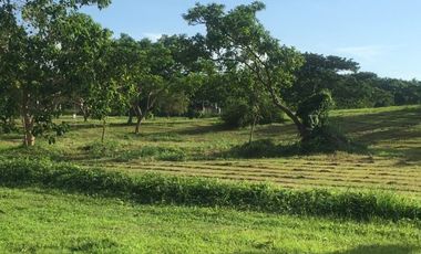For Sale East facing lot in Soliento, Nuvali by Ayala Land Premier