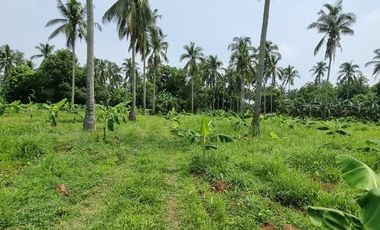Foreclosed Property - 4,316 sqm. & 4,316 sqm. Lot in Bendita 1, Magallanes, Cavite