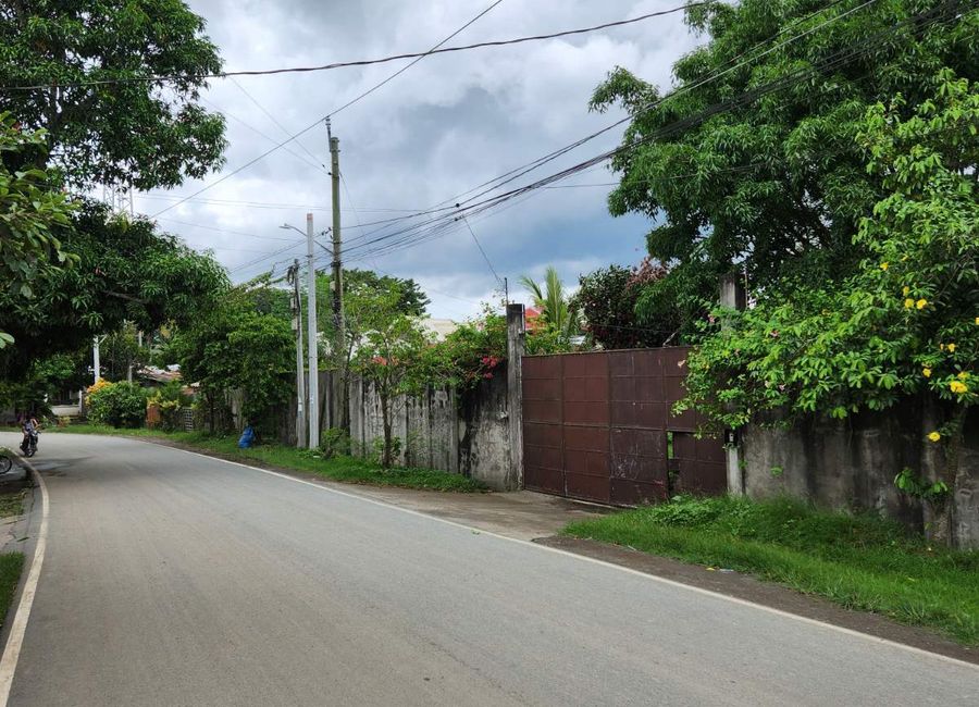 San Isidro, San Pablo, Laguna image 2