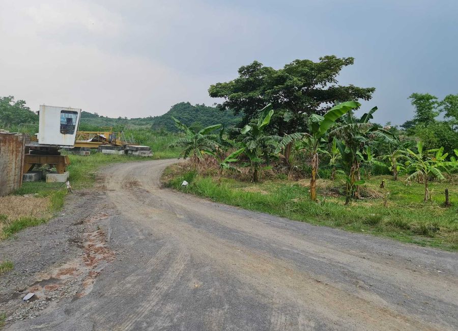 Puting Lupa, Calamba, Laguna image 2