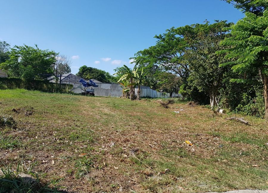Provincial Road, Don Jose, Santa Rosa, Laguna