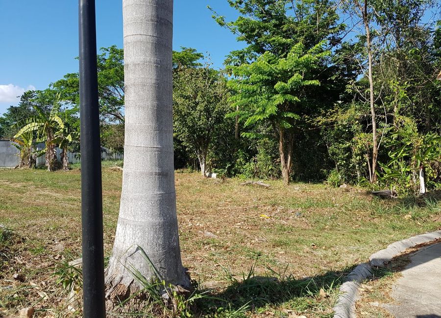Provincial Road, Don Jose, Santa Rosa, Laguna image 2