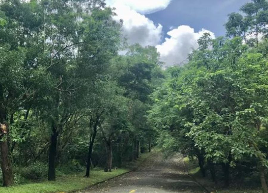 San Roque, Antipolo, Rizal image 2