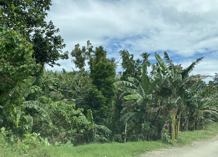 Tibig, Lipa, Batangas