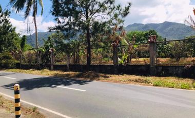 Rush sale! Farm land overlooking Mt Malarayat in Lipa City