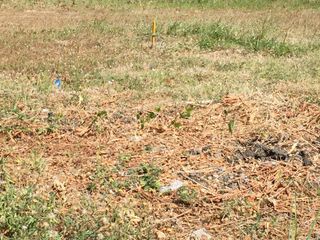 Premium Residential Lot Opportunity in Exclusive Ayala Southvale Village, Bacoor