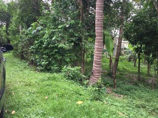 4 Hectares of Flat Land for Sale in Alfonso, Cavite