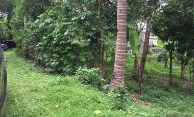 4 Hectares of Flat Land for Sale in Alfonso, Cavite