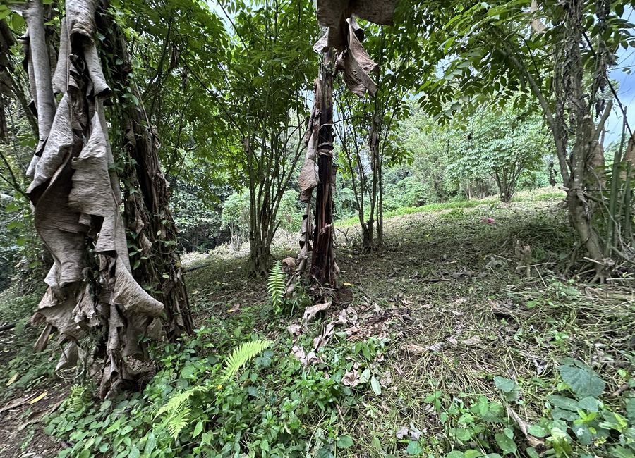 1-ha. Tagurano, Toril Overlooking Lot For Sale | Lamudi.com.ph