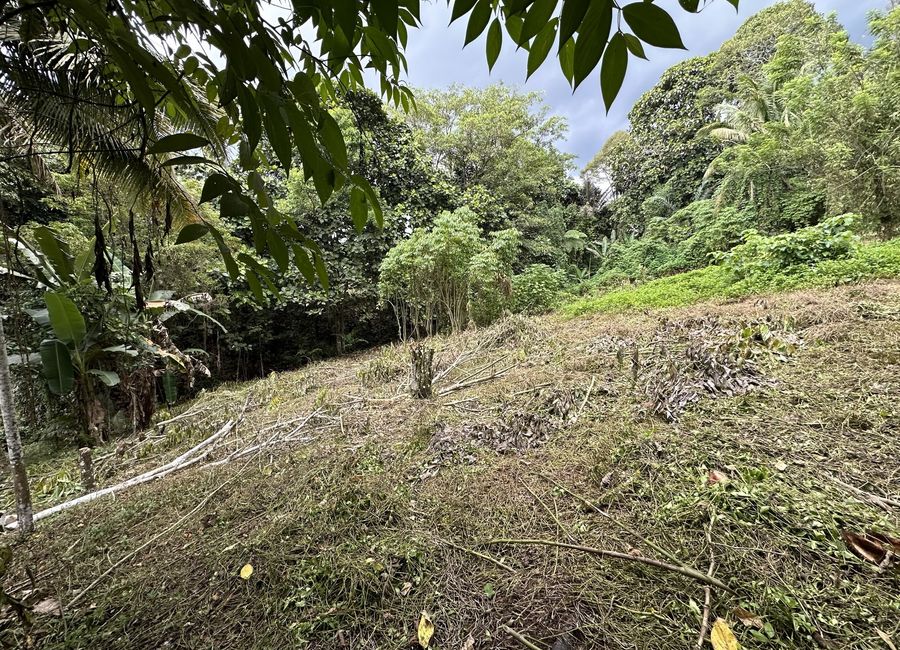 1-ha. Tagurano, Toril Overlooking Lot For Sale | Lamudi.com.ph