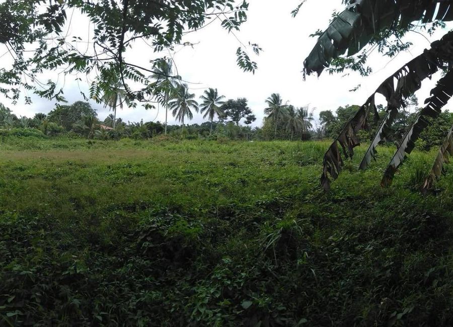 1-ha. Tagurano, Toril Overlooking Lot For Sale | Lamudi.com.ph