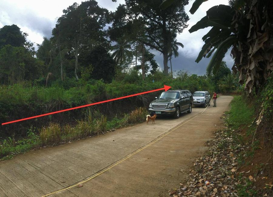 1-ha. Tagurano, Toril Overlooking Lot For Sale | Lamudi.com.ph