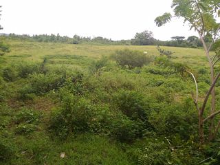 Raw land Lot for Sale in Batangas