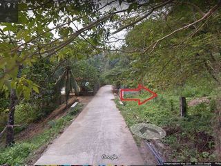 7,817 sqms Titled Farm Lot For Sale in Barangay Toong, Cebu Along the Road