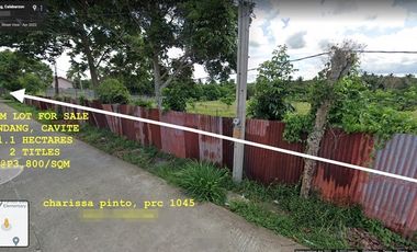 Agricultural Farm Lot For Sale in Tambo Balagbag, Indang, Cavite