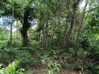 396sqm clean title lot in Tabalong Dauis Panglao Bohol at 3300