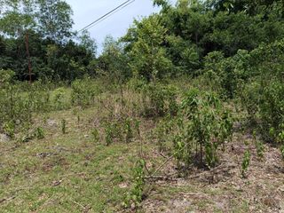 1,300sqm clean title lot in Lourdes Panglao Bohol at 3500 per sqm