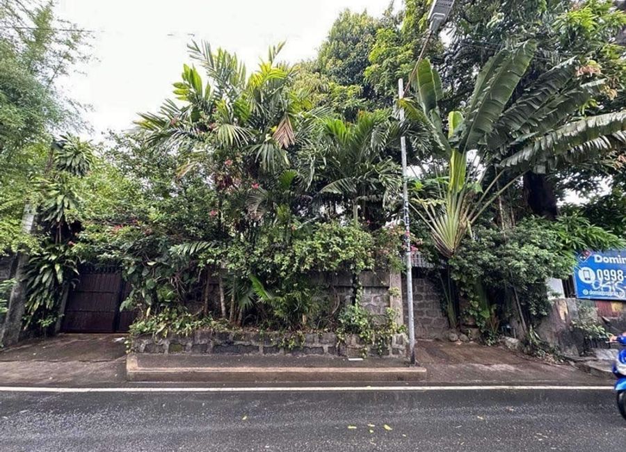 Golf Street, New St. Francis Village, San Juan, Cainta, Rizal