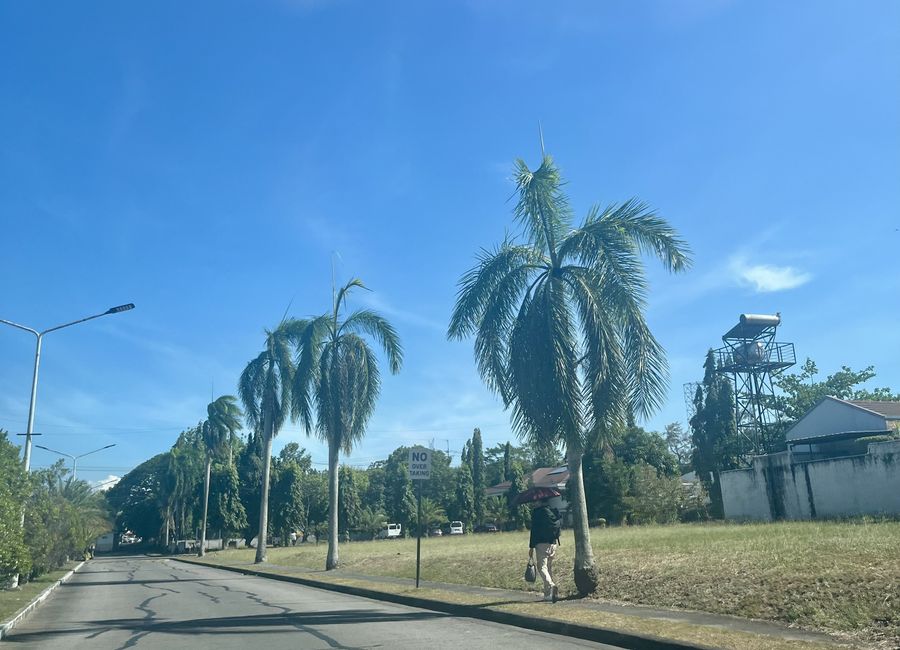 Camino Real Street, San Francisco, Biñan, Laguna image 2