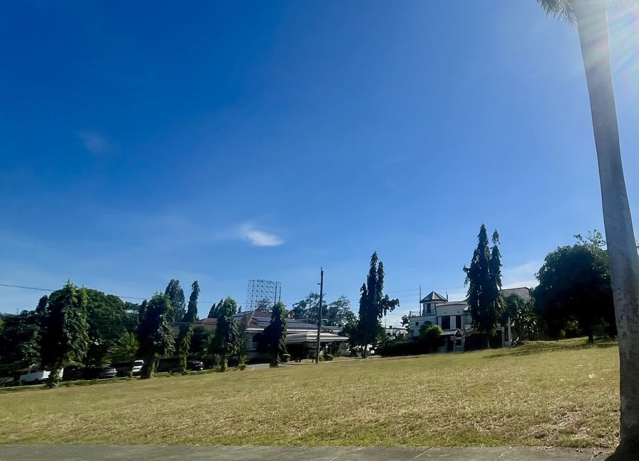 Camino Real Street, San Francisco, Biñan, Laguna image 3
