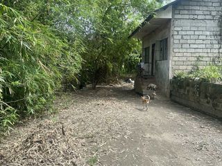 Lot for sale at Fajardo st. Aduas Centro, Cabanatuan City near 7/11 main road