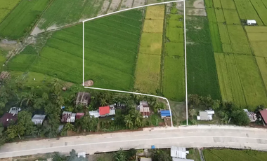 Roadside Land for Sale in Beautiful El Nido