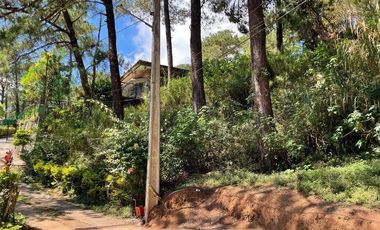 700 Square Meters Lot in Baguio City