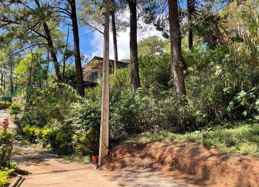 place photo 1