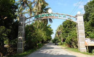 For Sale Agricultural Flat  Land in Agoncillo Batangas Near National Highway