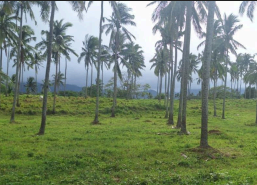 Sapac, Tangob, Lipa, Batangas