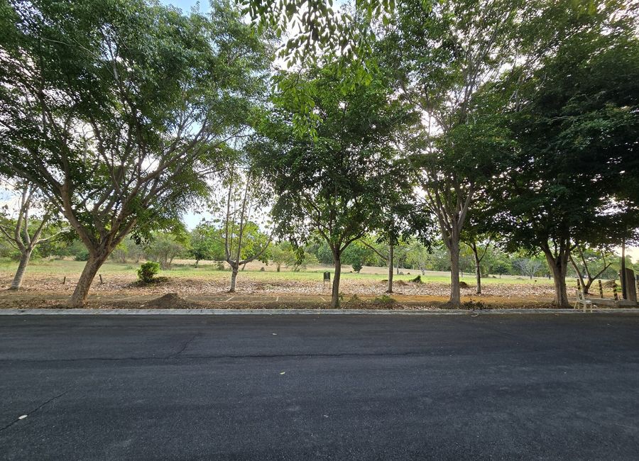 Grasslands Drive, Santo Domingo, Santa Rosa, Laguna