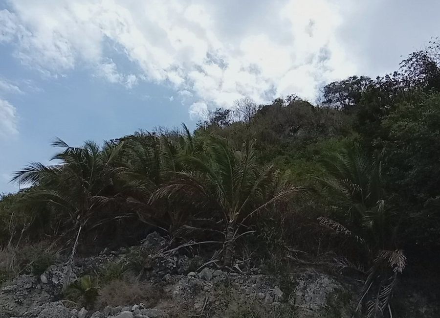 Balibago, Lobo, Batangas image 2