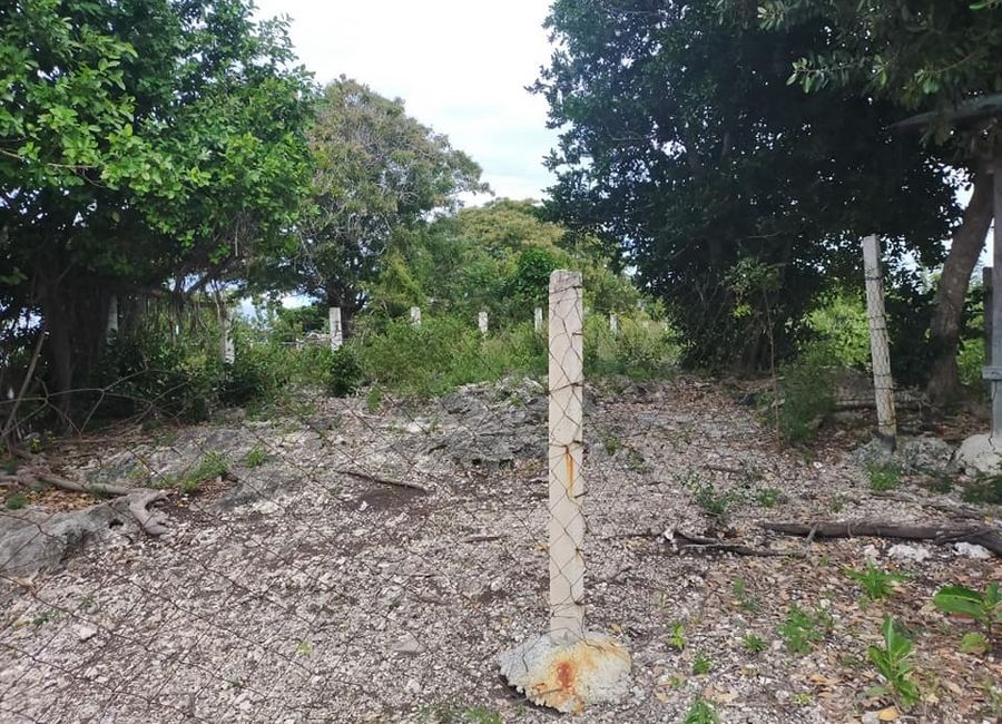place photo 18