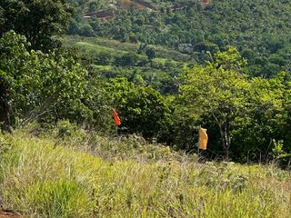 FARM LOT IN TANAY RIZAL