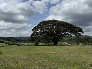 Residential Lot for Sale at Montecito Nuvali (Negotiable)