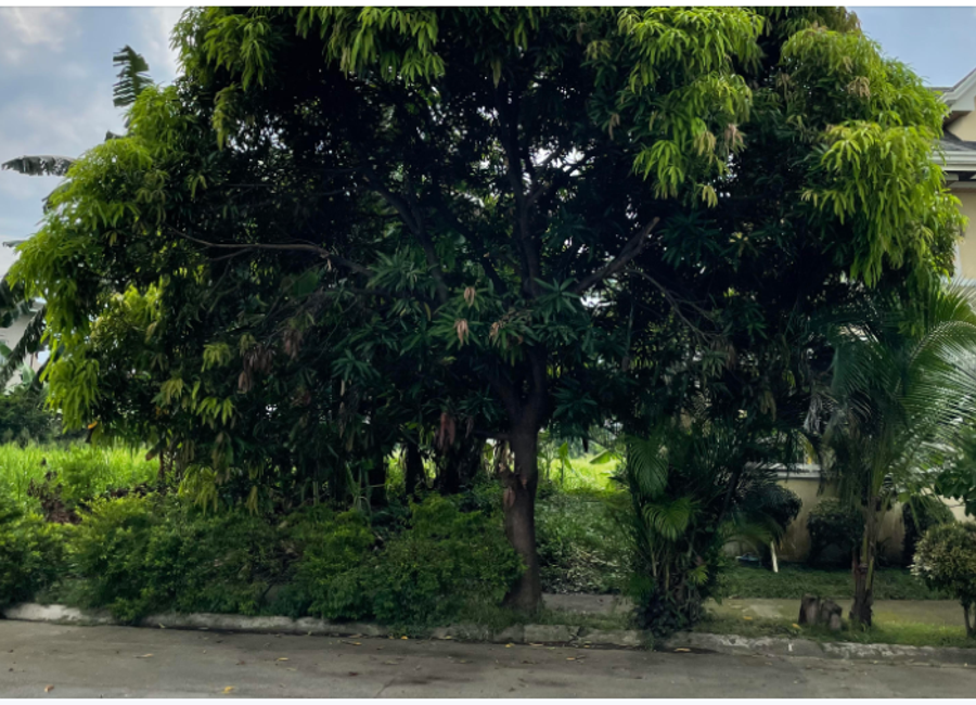 Laguna Belair 2, Don Jose, Santa Rosa, Laguna image 3