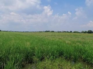 2.7 Hectares Agricultural Lot for Sale in Calumpit, Bulacan